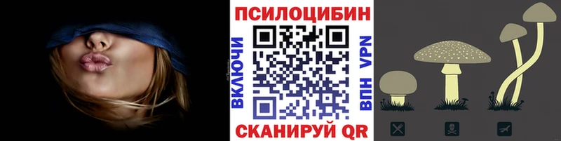 Галлюциногенные грибы мицелий  Купить закладки  Кущёвская 